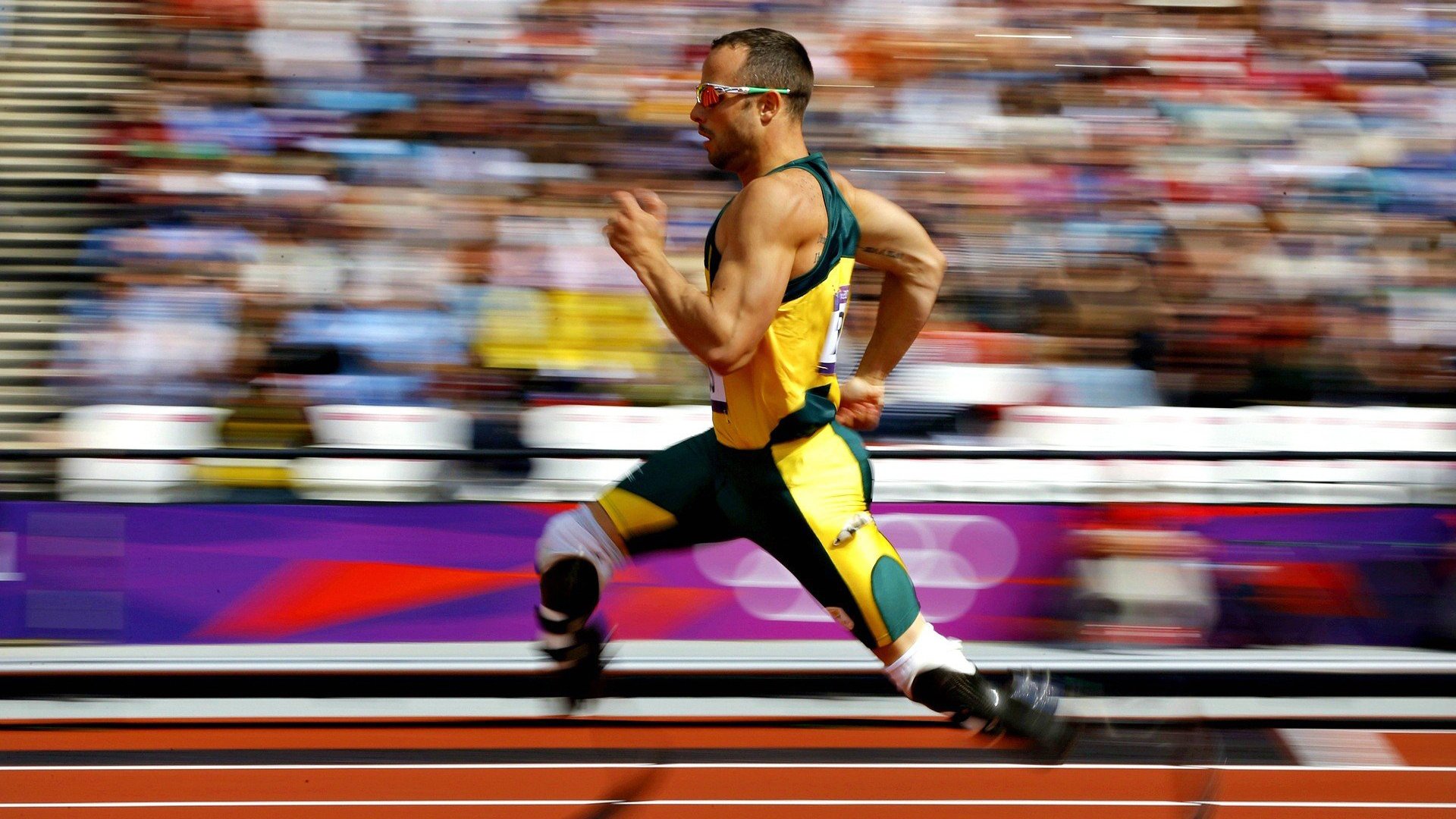 _极地白夜跑：在极光照耀下追逐梦想_，极地的白天黑夜是怎样的